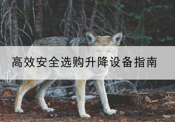 北川升降货梯厂家推荐-*安全选购升降设备指南