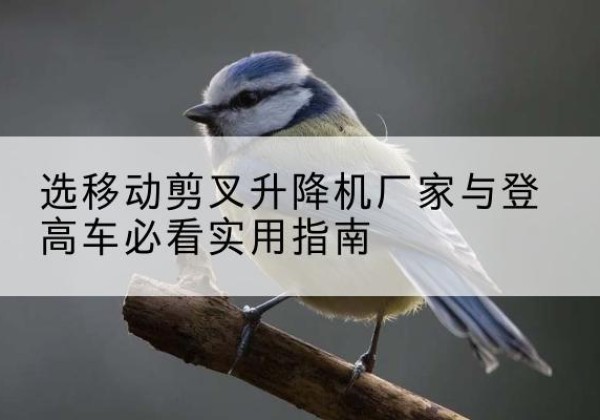 北川电动升降机厂家-选移动剪叉升降机厂家与登高车必看实用指南